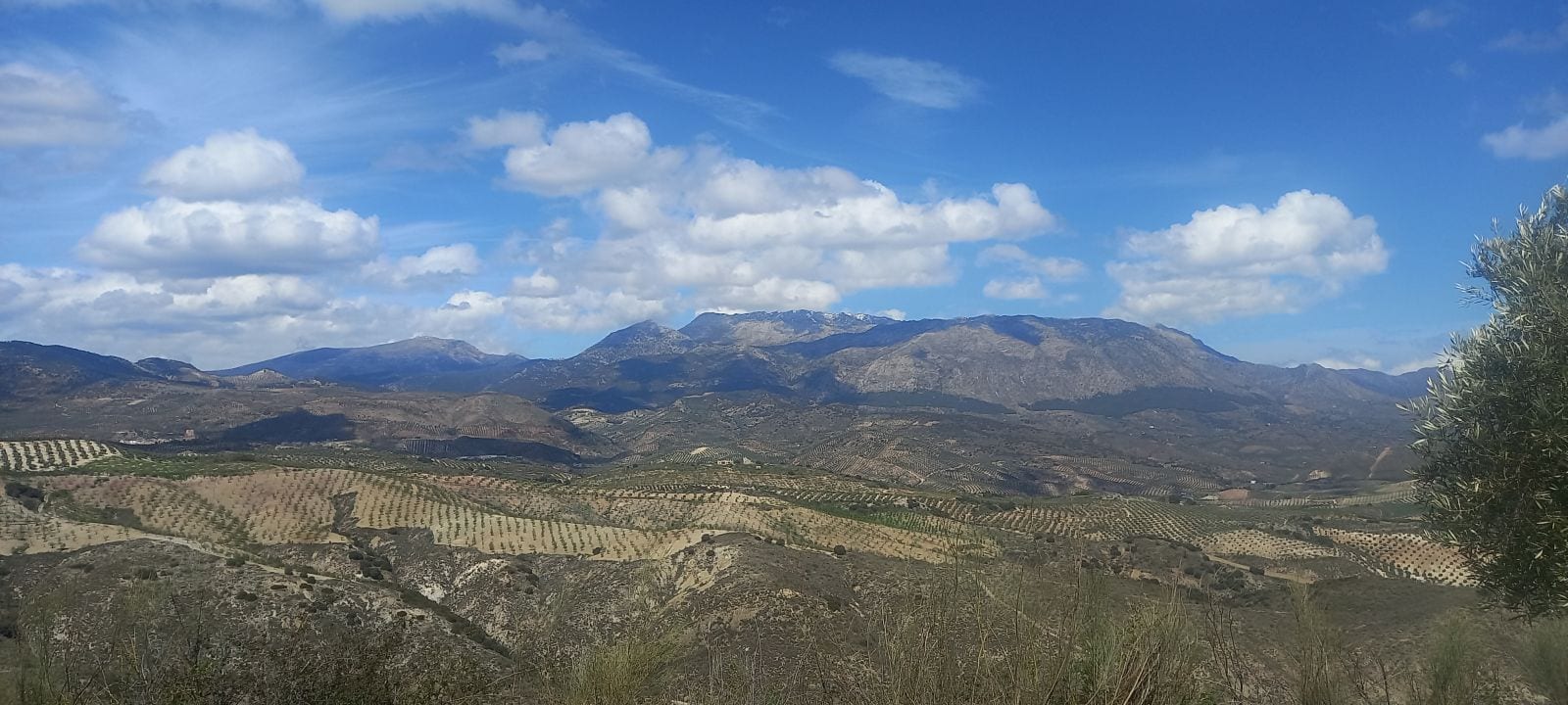 Pohled na hory Sierra Mágina
